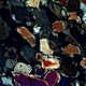 Trinocular Polarizing Microscope