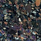Trinocular Polarizing Microscope
